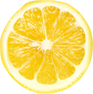 lemon vector